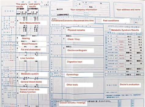 RESULT in Japanese .